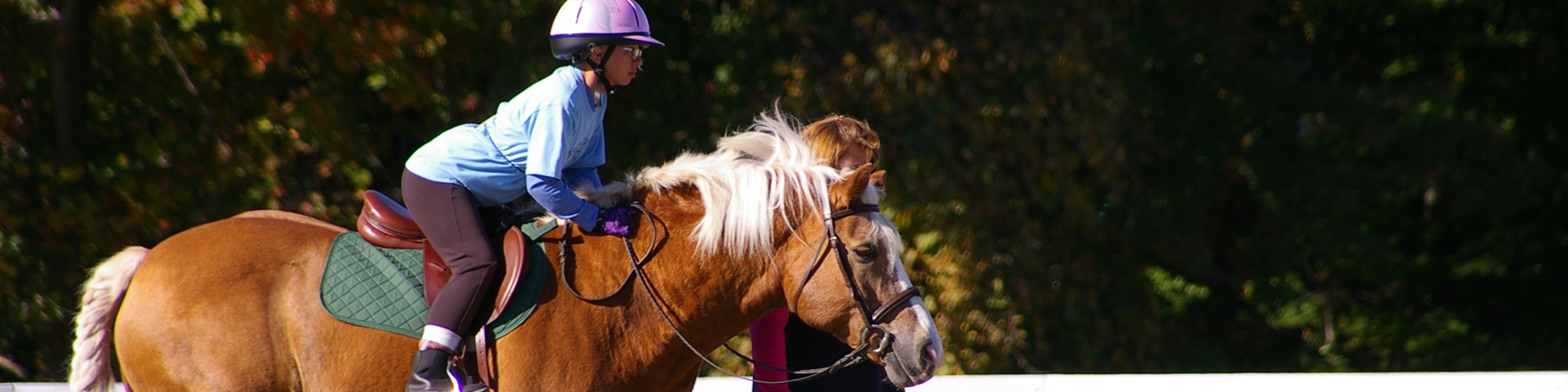 special olympics equestrian